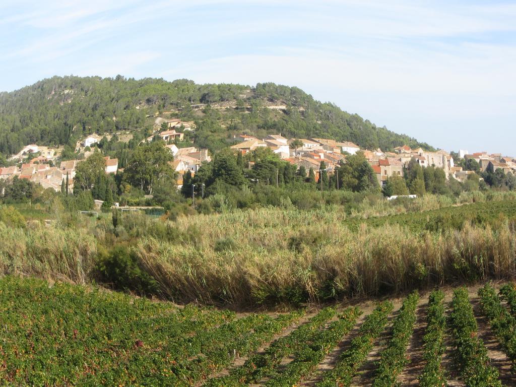 Chambre D'Hotes Le Laurier Blanc Portel-des-Corbieres Екстер'єр фото