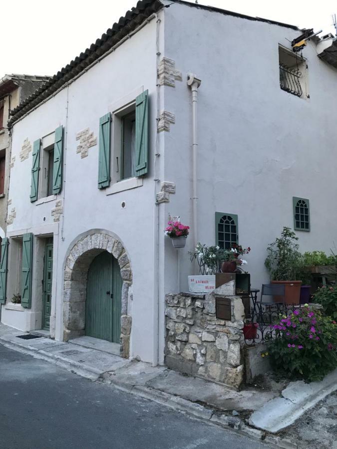 Chambre D'Hotes Le Laurier Blanc Portel-des-Corbieres Екстер'єр фото